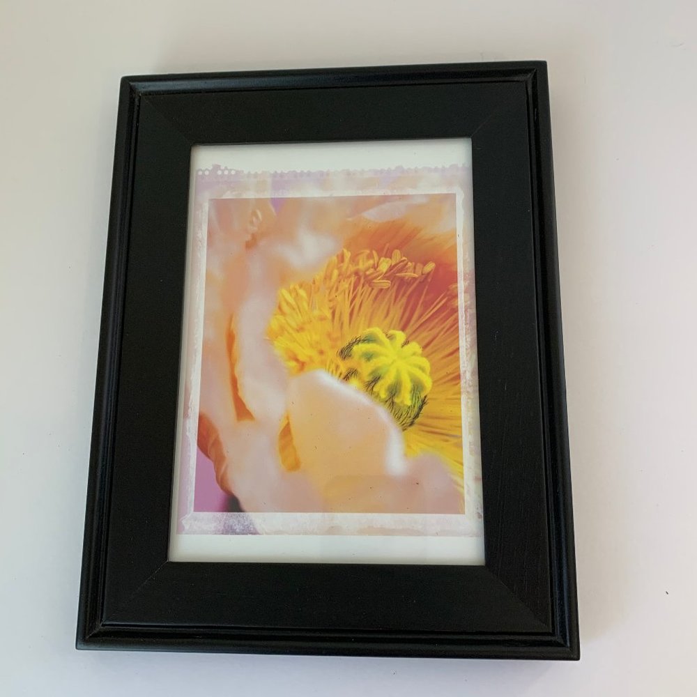 Ikea Framed Poppy Print Hanging Picture Black Frame 7x9 Wall Art